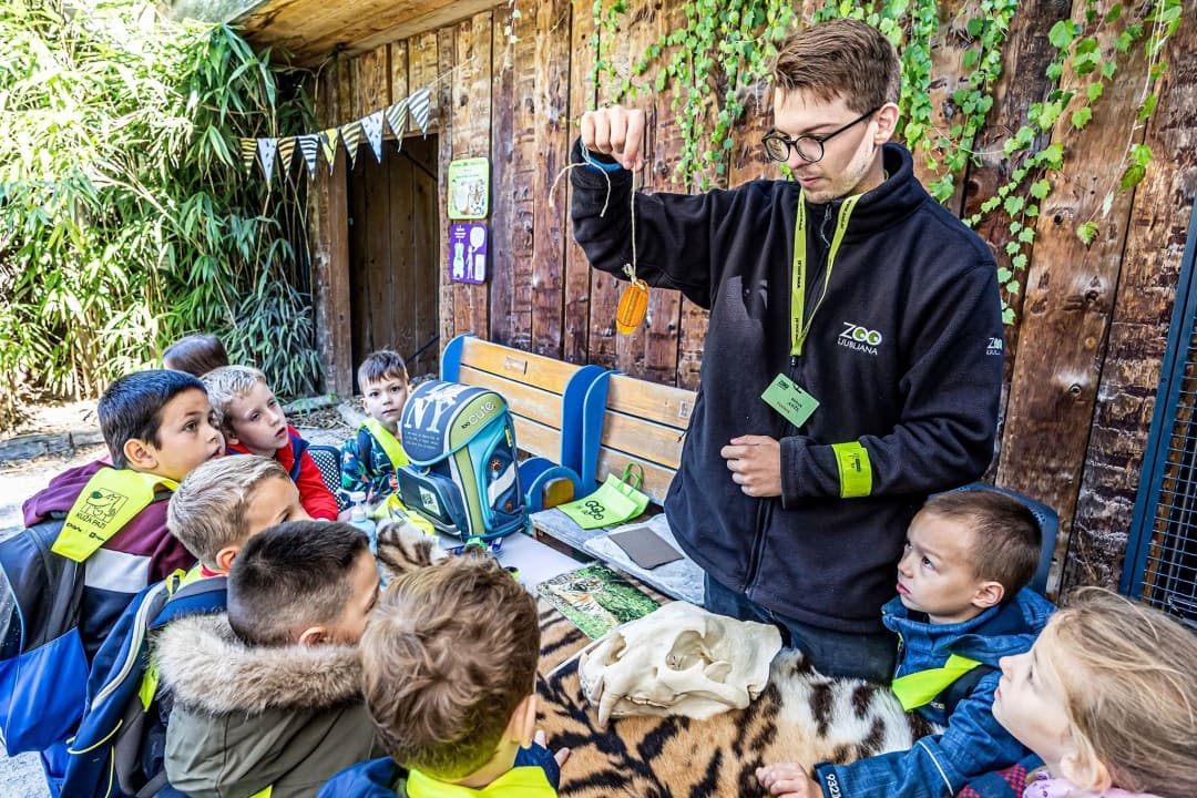 Science Day — Traffic ZOO