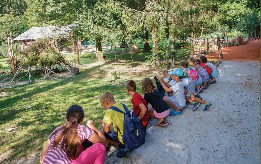 One-hour Guided Tour