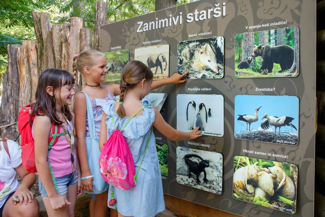 Multi-hour Guided Tour