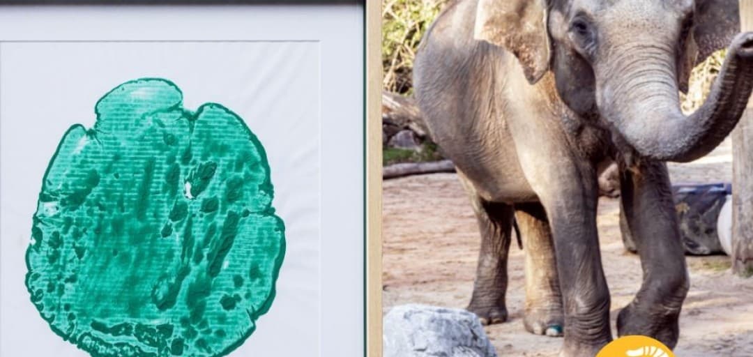 Press release — A print of Ganga’s footprint