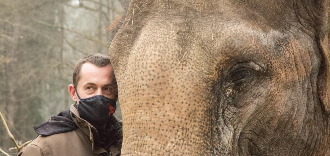 Read Before Your Zoo Visit