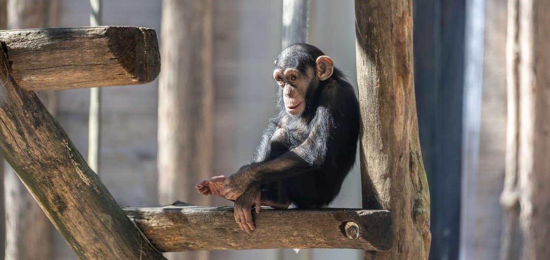 Inappropriate Behaviour