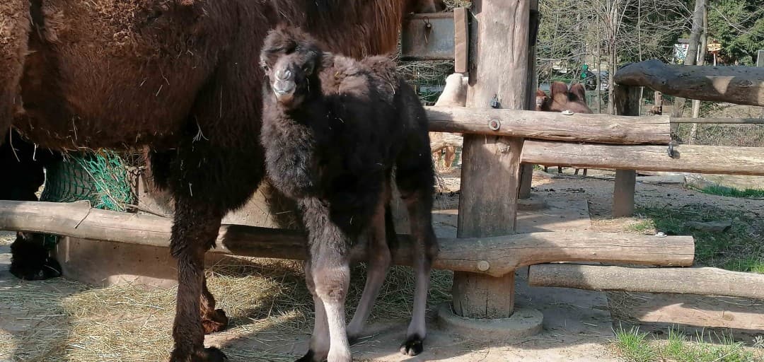 The First Babies of the Year Have Arrived