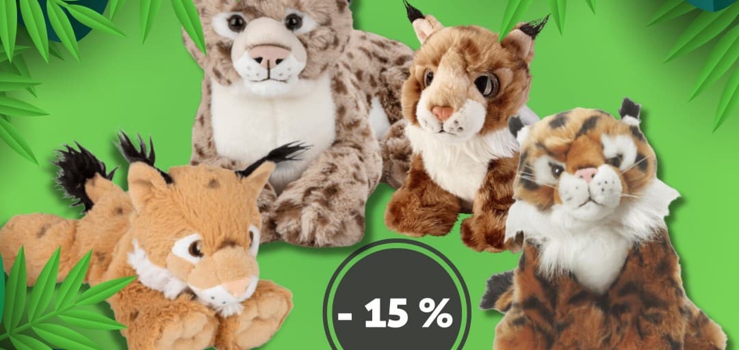 Akcija za Mednarodni dan risov