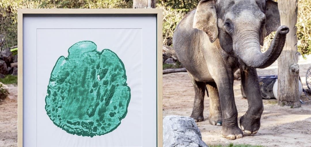 Postani lastnik edinstvenega odtisa