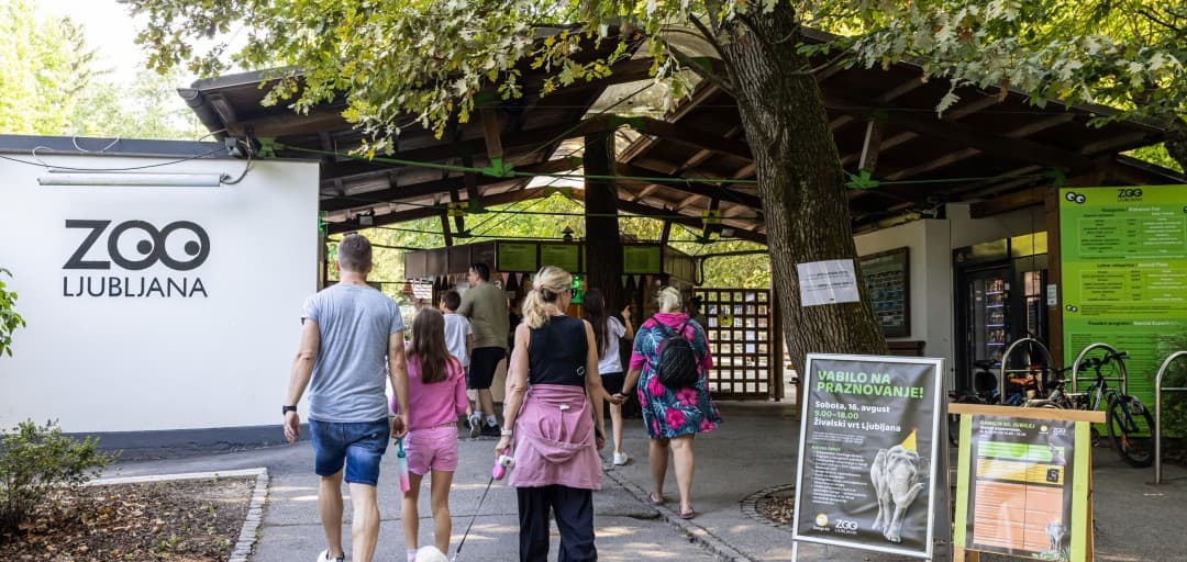 Job Vacancy — Head of Ticket Desk and Shop