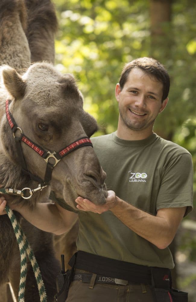 JOŽE KRAŠEVEC, animal keeper