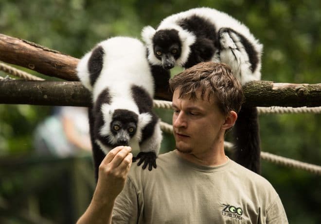 MATIJA HREŠČAK, animal keeper