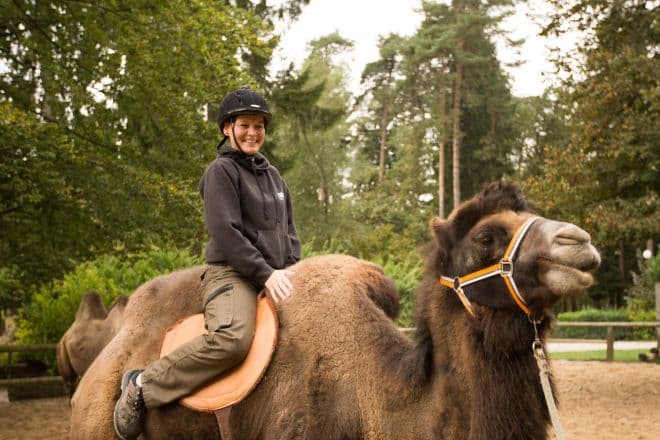 SAŠA PURKART, head of the animal kitchen