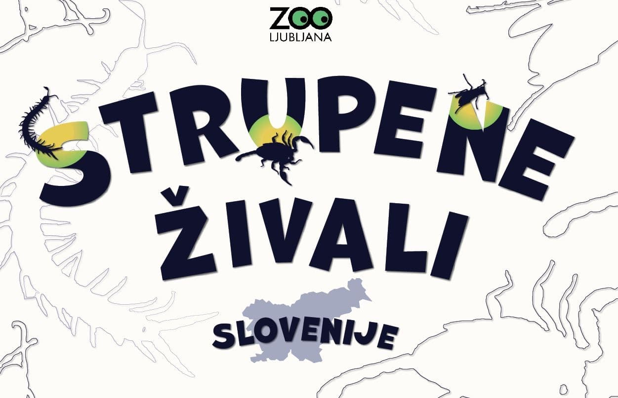 Znanstival 2026